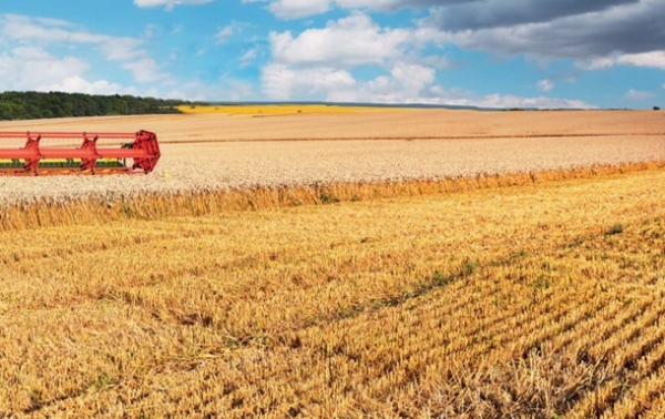 Фото - Украина уже собрала более 20 млн тонн урожая