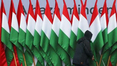 Фото - Еврокомиссар пожаловался, что Венгрия заморозила активов РФ всего на 3 тысячи евро