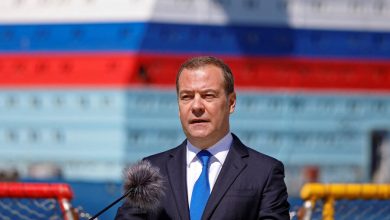 Фото - Медведев: в Европе «просто не будет» газа из России в случае введения потолка цен