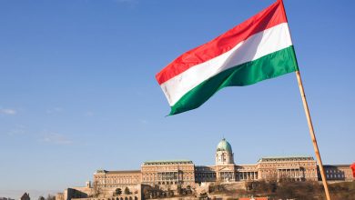 Фото - В правительстве Венгрии заявили, что цены в ЕС «упадут вдвое при снятии санкций с РФ»