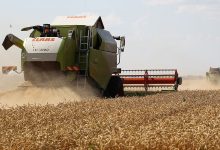 Фото - Объем урожая в России по итогам 2022 года станет рекордным и превысит 140 млн тонн