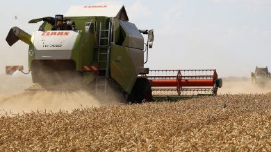 Фото - Объем урожая в России по итогам 2022 года станет рекордным и превысит 140 млн тонн