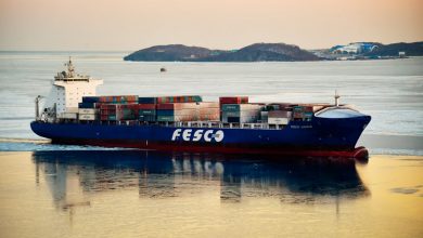 Фото - В FESCO заявили о планах доставлять бананы в РФ на фоне ухода транспортной компании Maersk