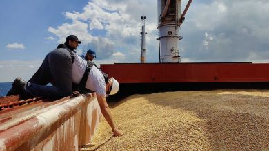 Фото - В Турции считают, что Россия может использовать складские мощности страны для своего зерна